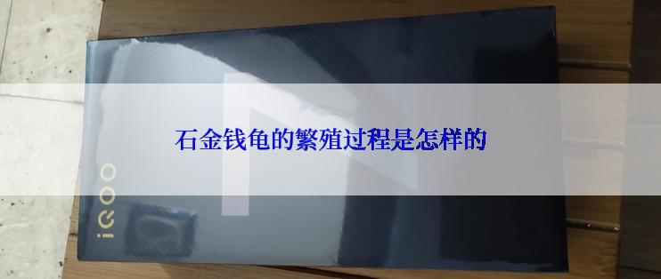 石金钱龟的繁殖过程是怎样的