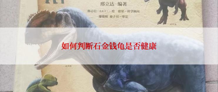 如何判断石金钱龟是否健康