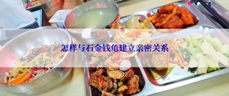 怎样与石金钱龟建立亲密关系