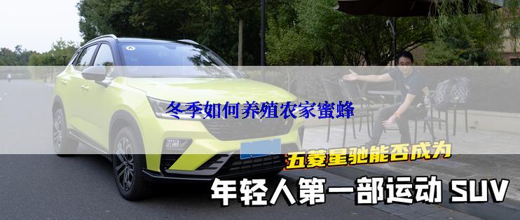 冬季如何养殖农家蜜蜂