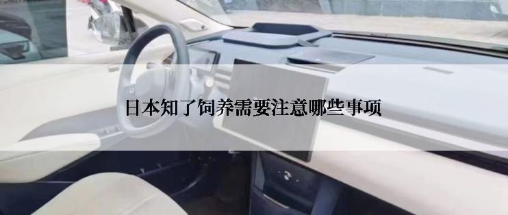 日本知了饲养需要注意哪些事项