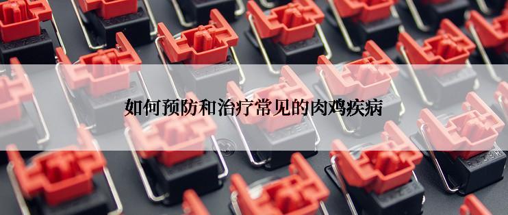 如何预防和治疗常见的肉鸡疾病