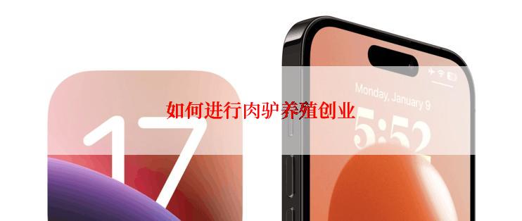 如何进行肉驴养殖创业