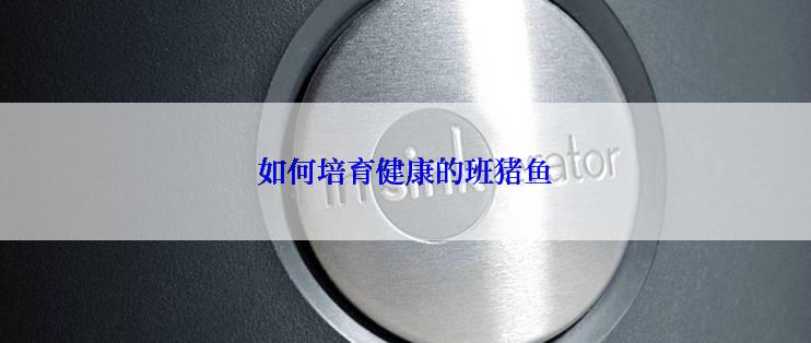 如何培育健康的班猪鱼