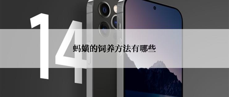 蚂蟥的饲养方法有哪些