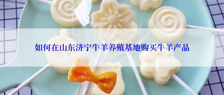 如何在山东济宁牛羊养殖基地购买牛羊产品