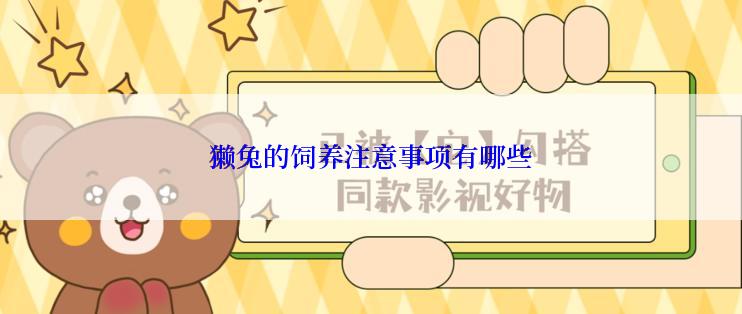 獭兔的饲养注意事项有哪些