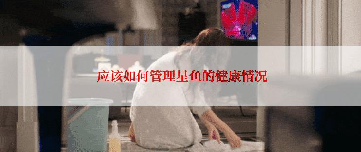  应该如何管理星鱼的健康情况