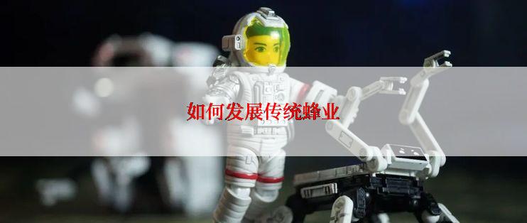 如何发展传统蜂业