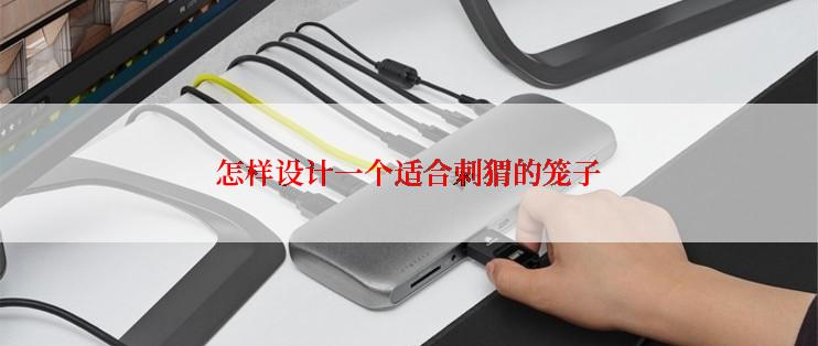 怎样设计一个适合刺猬的笼子