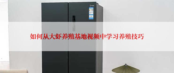 如何从大虾养殖基地视频中学习养殖技巧