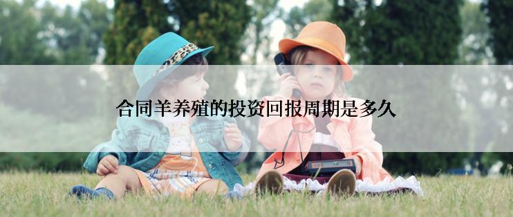 合同羊养殖的投资回报周期是多久