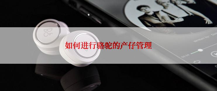 如何进行骆驼的产仔管理