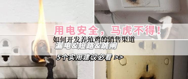 如何开发养殖鸡的销售渠道