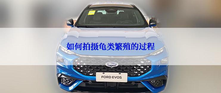 如何拍摄龟类繁殖的过程