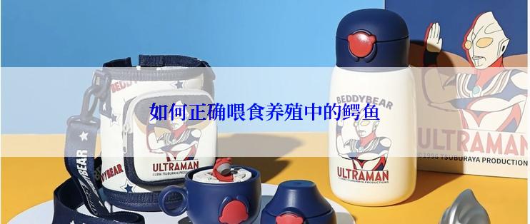 如何正确喂食养殖中的鳄鱼