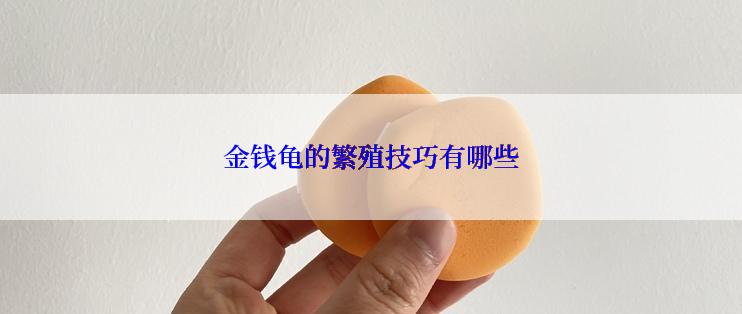 金钱龟的繁殖技巧有哪些