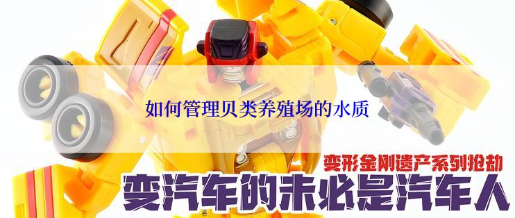 如何管理贝类养殖场的水质