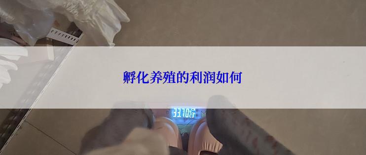 孵化养殖的利润如何