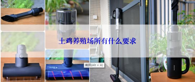 土鸡养殖场所有什么要求