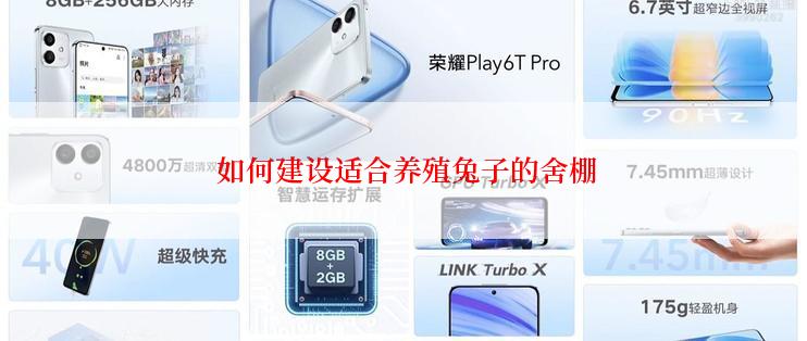  如何建设适合养殖兔子的舍棚