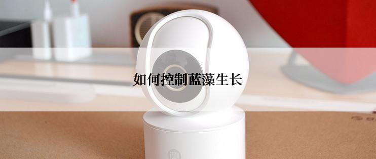 如何控制蓝藻生长