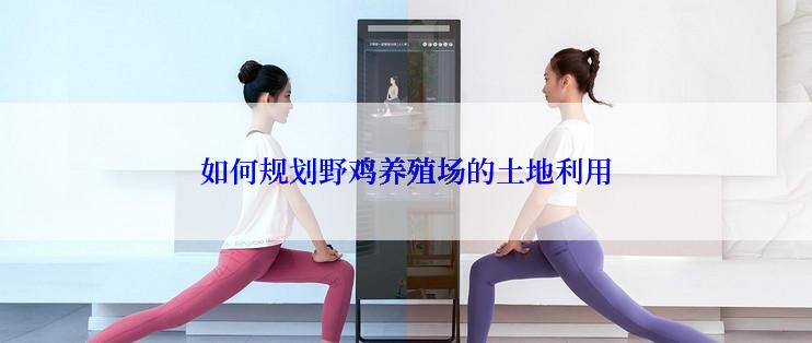 如何规划野鸡养殖场的土地利用