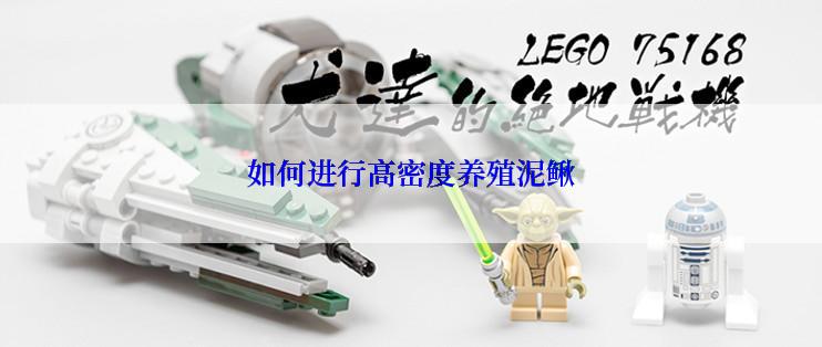 如何进行高密度养殖泥鳅