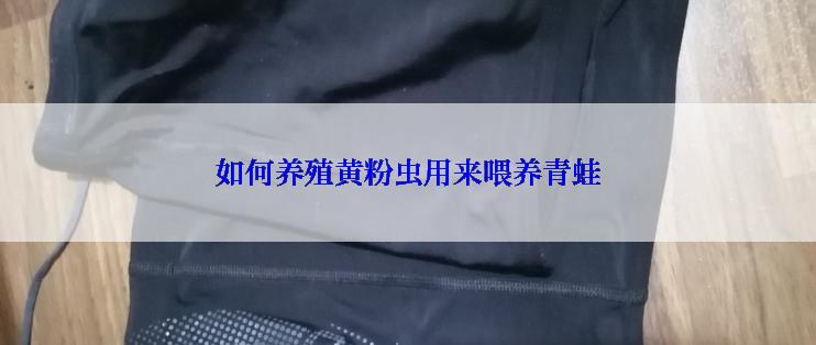 如何养殖黄粉虫用来喂养青蛙