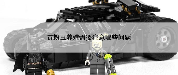 黄粉虫养殖需要注意哪些问题