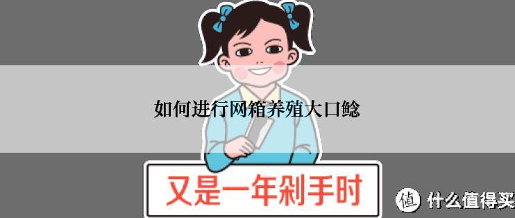 如何进行网箱养殖大口鲶