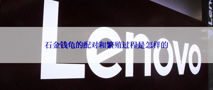 石金钱龟的配对和繁殖过程是怎样的