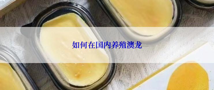 如何在国内养殖澳龙