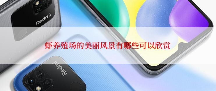 虾养殖场的美丽风景有哪些可以欣赏