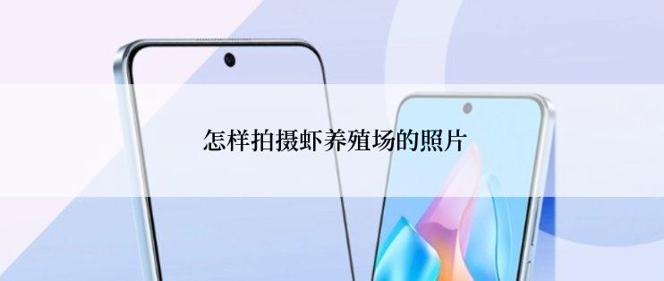 怎样拍摄虾养殖场的照片