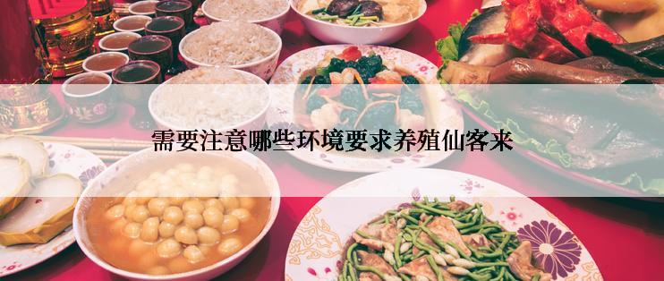 需要注意哪些环境要求养殖仙客来