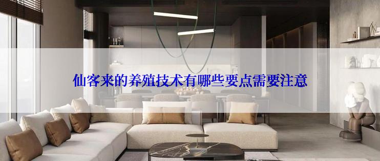 仙客来的养殖技术有哪些要点需要注意