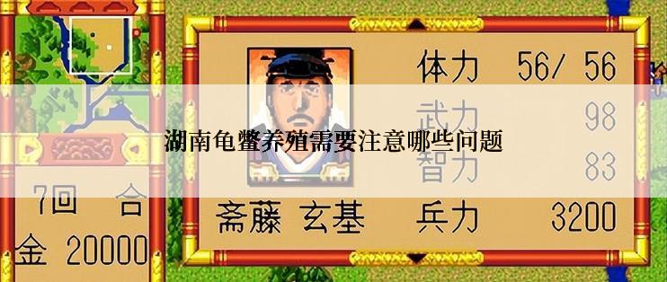湖南龟鳖养殖需要注意哪些问题