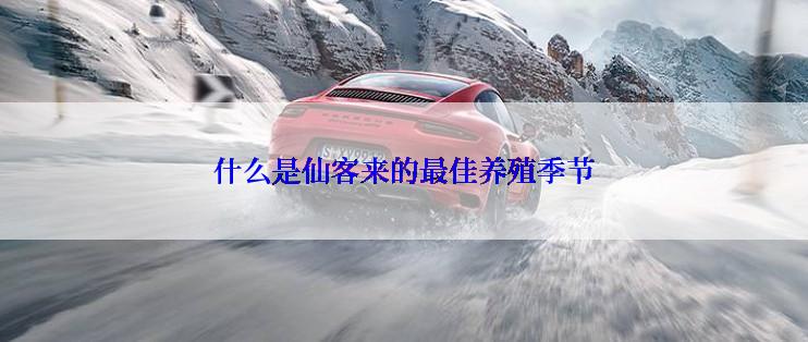 什么是仙客来的最佳养殖季节