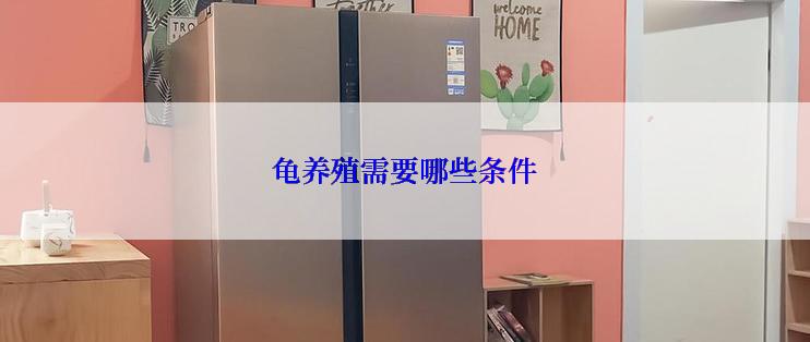 龟养殖需要哪些条件