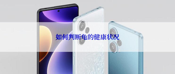 如何判断龟的健康状况