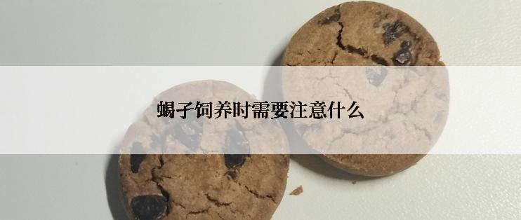 蝎孑饲养时需要注意什么