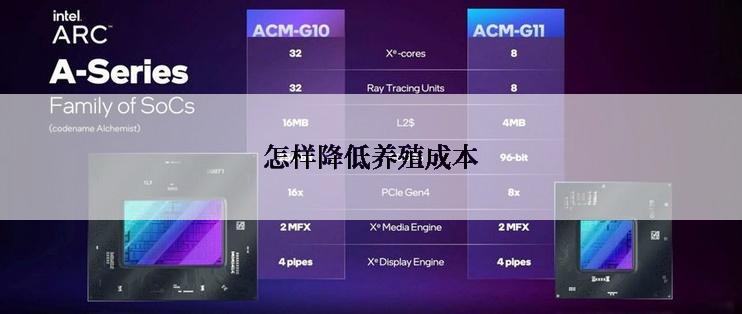 怎样降低养殖成本