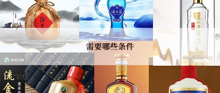 需要哪些条件