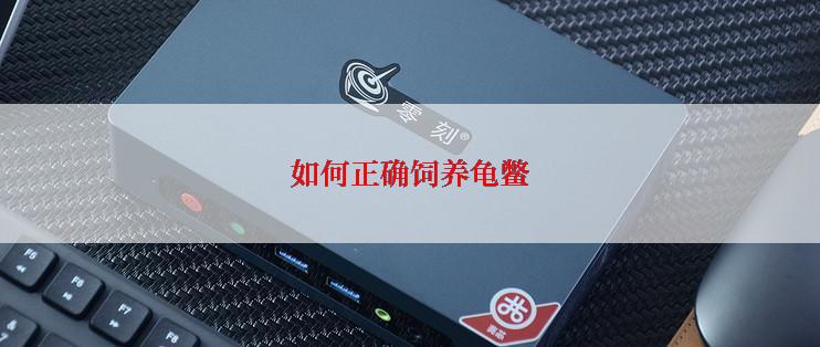 如何正确饲养龟鳖