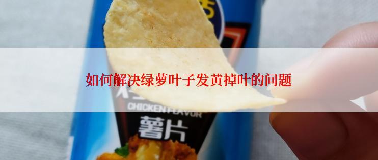 如何解决绿萝叶子发黄掉叶的问题