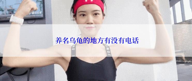  养名乌龟的地方有没有电话