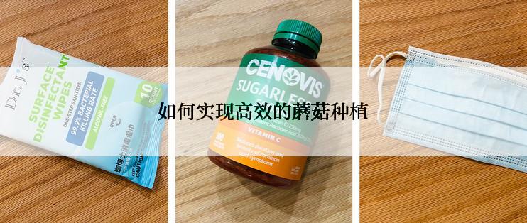 如何实现高效的蘑菇种植