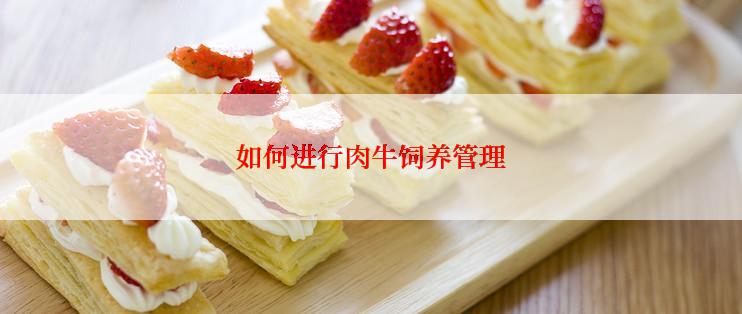 如何进行肉牛饲养管理