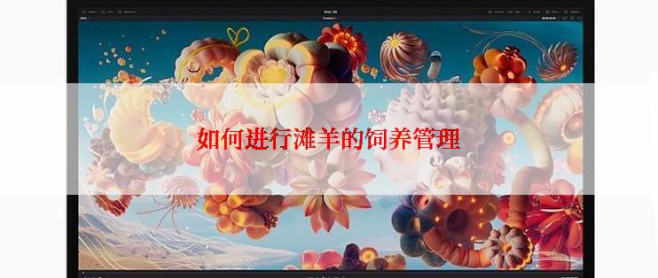 如何进行滩羊的饲养管理